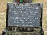 image of grave number 690877